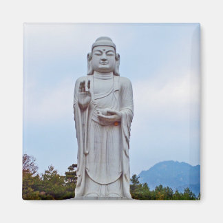 Buddha statue in South Korea, Asia Magnet