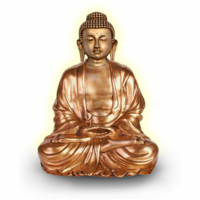 Buddha Statue Standing Photo Sculpture (Front)