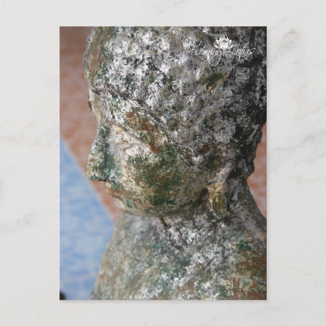 Buddha Statue-Thailand Postcard (Front)