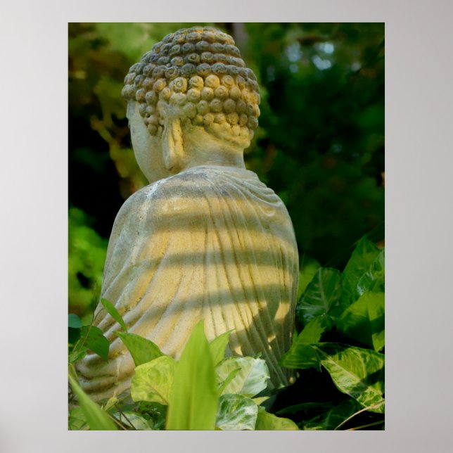 Buddha's back poster (Front)