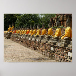 Buddhas Poster