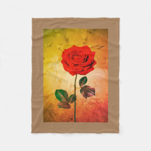 BuddhaToday #24 - COZY BUDDHA BLANKET 