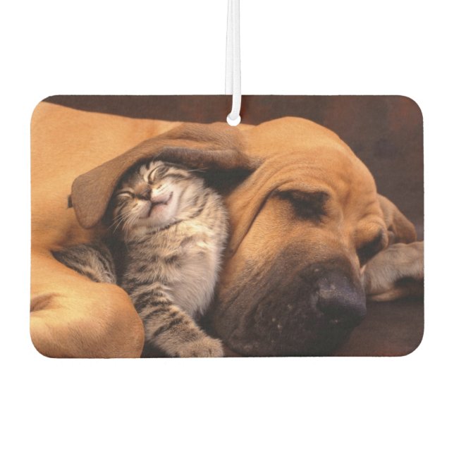 Buddies Air Freshener (Front)