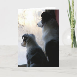 Buddies Card