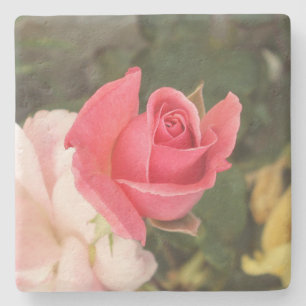 Budding Pink Rose Stone Coaster