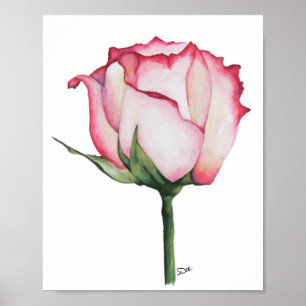 Budding Rose Premium 8x10 Canvas Gloss Poster