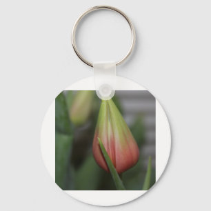 Budding Tulip #2 Key Ring