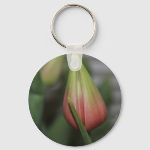 Budding Tulip #2 Key Ring