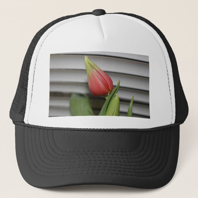 Budding Tulip Trucker Hat (Front)