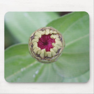Budding Zinnia Mouse Mat