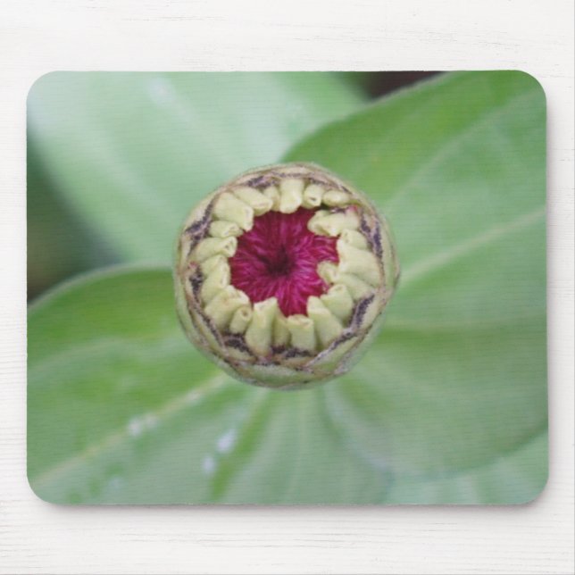 Budding Zinnia Mouse Mat (Front)