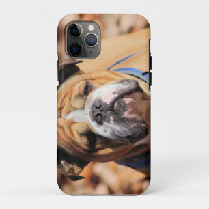 Buddy Bulldog iPhone 11 Pro Case