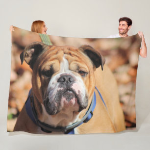 Buddy bulldog fleece blanket