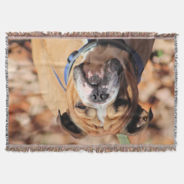 Buddy bulldog  throw blanket (Front)