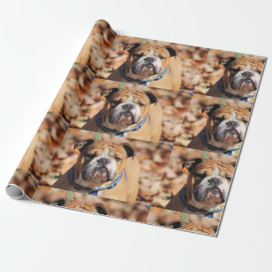 Buddy bulldog wrapping paper