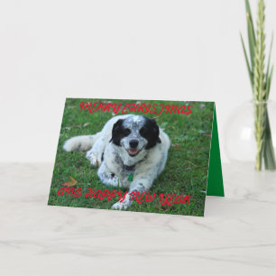 Buddy Closeup Card