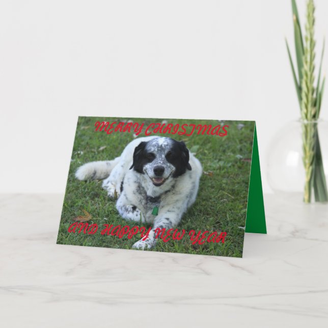 Buddy Closeup Card (Front)