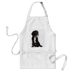 Buddy Standard Apron