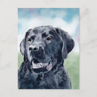 Buddy the Lab Postcard
