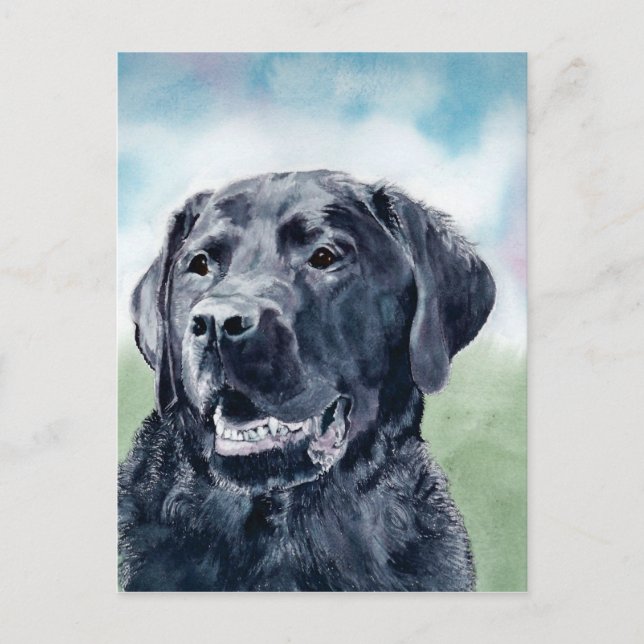 Buddy the Lab Postcard (Front)