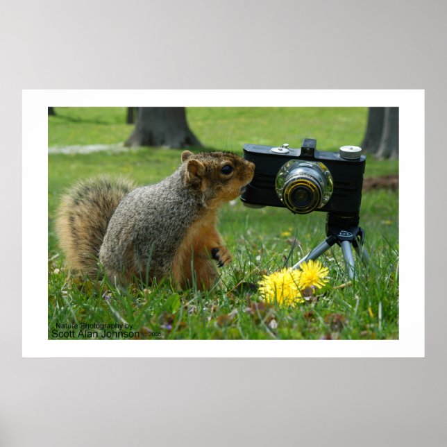Buddy The Squirrel and his Camera Poster (Front)