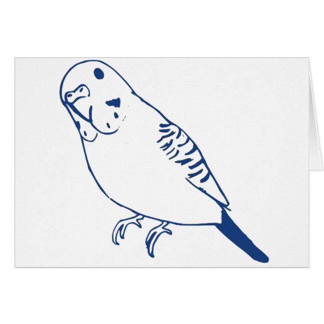 Budgerigar (Front Horizontal)