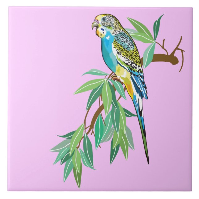 budgerigar tile (Front)