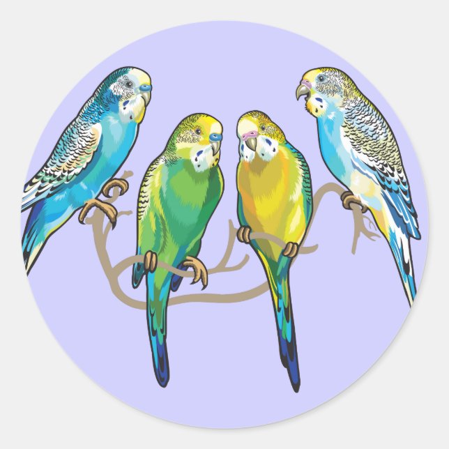 budgerigars classic round sticker (Front)