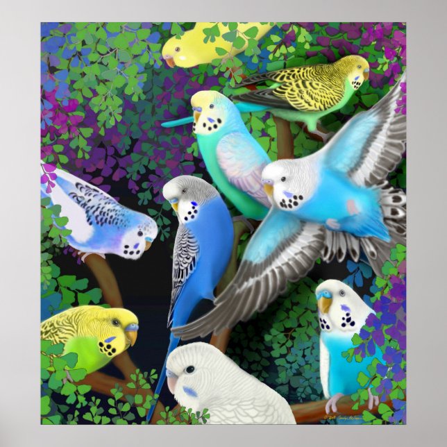 Budgerigars in Ferns Poster (Front)