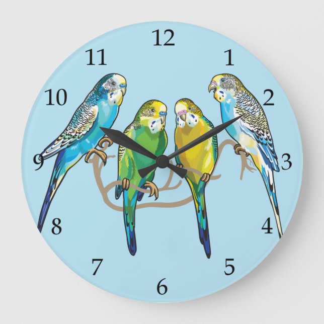 budgerigars large clock (Front)