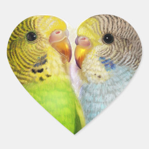 Budgerigars realistic painting heart sticker