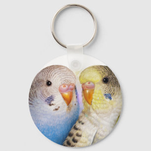 Budgerigars realistic painting key ring