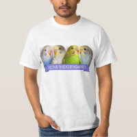 Budgerigars realistic painting