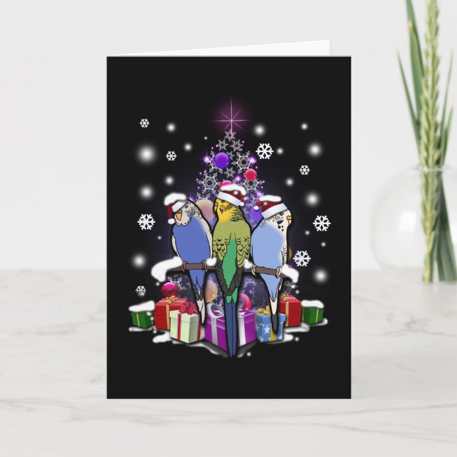 Budgerigars with Christmas Gift and Snowflakes Holiday Card (Front)