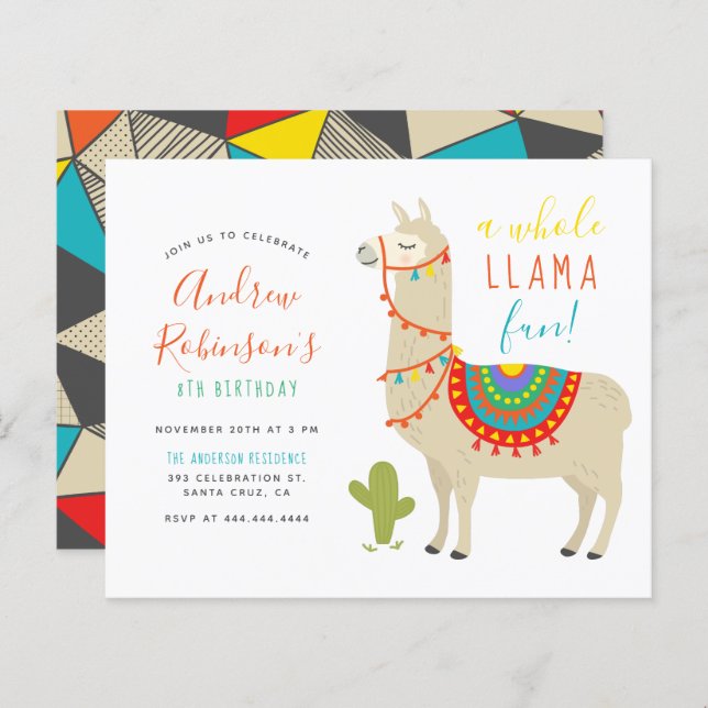 Budget A Whole Llama Fun Animal Birthday Party (Front/Back)