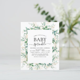 Budget Baby Shower Sprinkle Eucalyptus Geometric