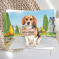 Budget Beagle New Address We've Moved Dog Moving