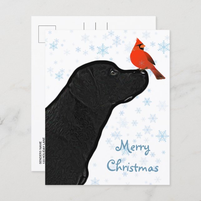 Budget Black Labrador Cardinal Christmas Postcard (Front/Back)