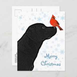 Budget Black Labrador Cardinal Christmas Postcard
