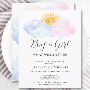 Budget Blue And Pink Gender Reveal Invitation 