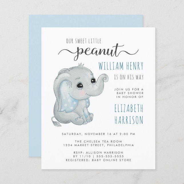 Budget Blue Elephant Watercolor Baby Boy Shower (Front/Back)