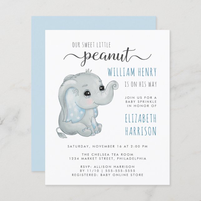 Budget Blue Elephant Watercolor Baby Boy Sprinkle (Front/Back)