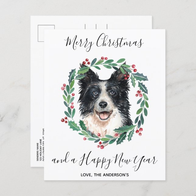 Budget Border Collie Dog Merry Christmas Postcard (Front/Back)
