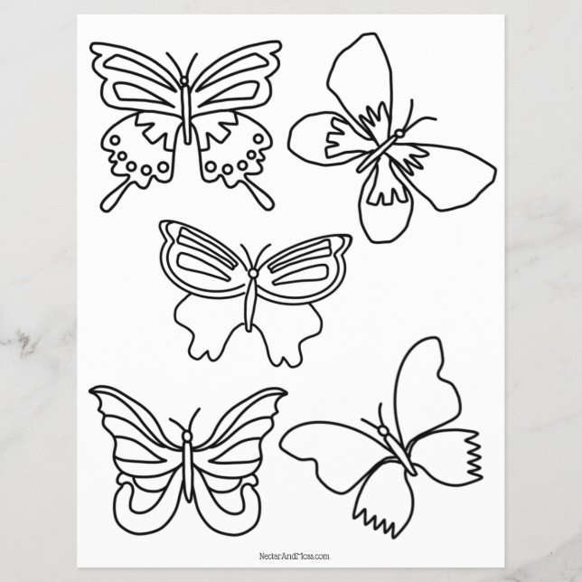 Budget Butterflies and Blooms Colouring Page (Front)