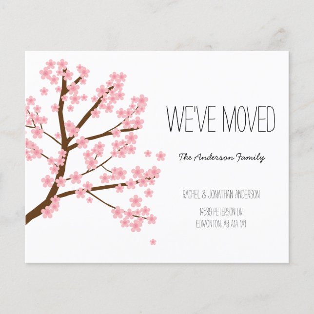 Budget Cherry Blossoms Sakura Tree We've Moved (Front)