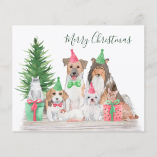 Budget Christmas Animals Dog Cat Puppy Kitten Card