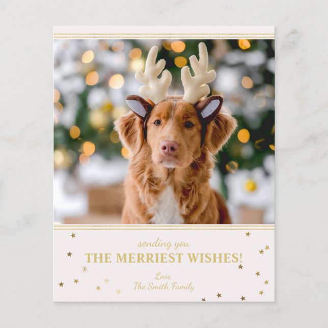 Budget Christmas Photo (Front)