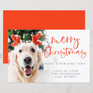 Budget Custom Pet Photo Merry Christmas Card
