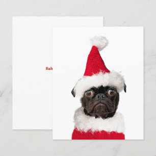 Budget Cute Christmas Pug Puppy Santa