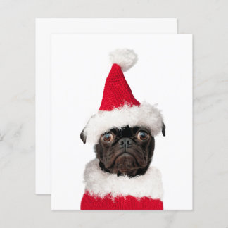Budget Cute Christmas Pug Puppy Santa